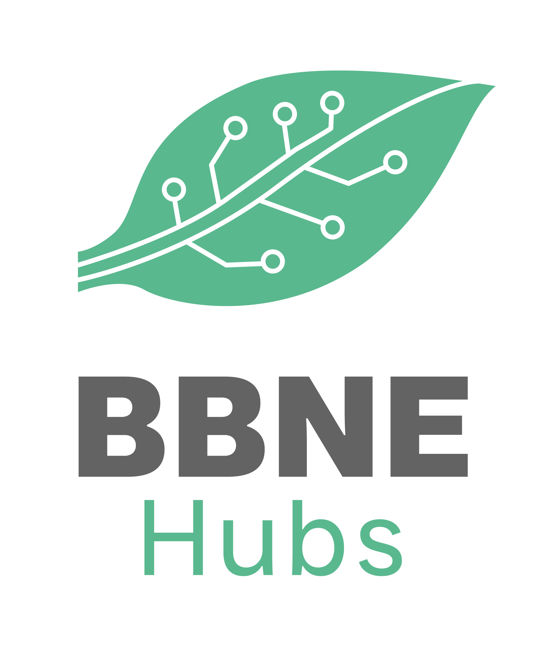 Logo BBNE-Hubs